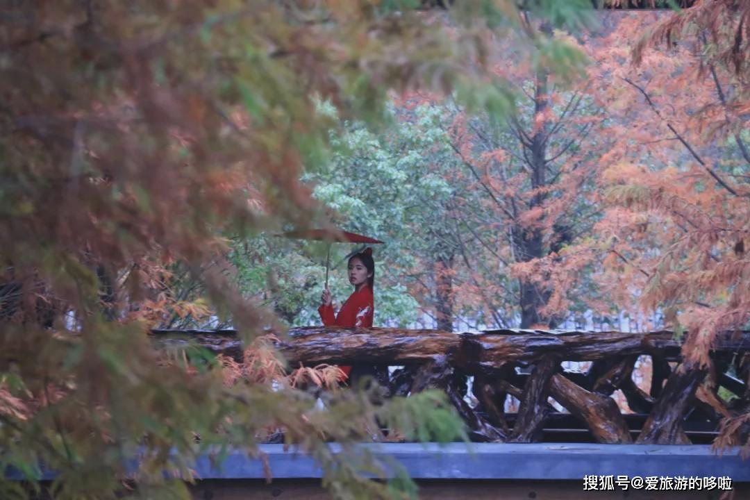 【转载】马云都来悄悄拜访!这座浙西小县城,究竟有什么魔力?