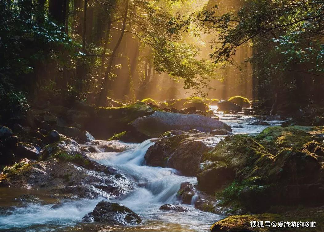 【转载】马云都来悄悄拜访!这座浙西小县城,究竟有什么魔力?