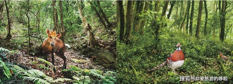 【转载】马云都来悄悄拜访!这座浙西小县城,究竟有什么魔力?