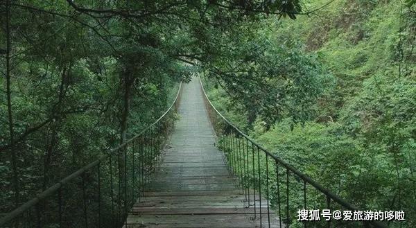 【转载】马云都来悄悄拜访!这座浙西小县城,究竟有什么魔力?