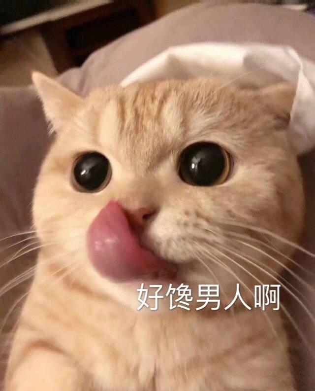 幽默笑话:不是那意思,狐狸精哪里有你这么丑的