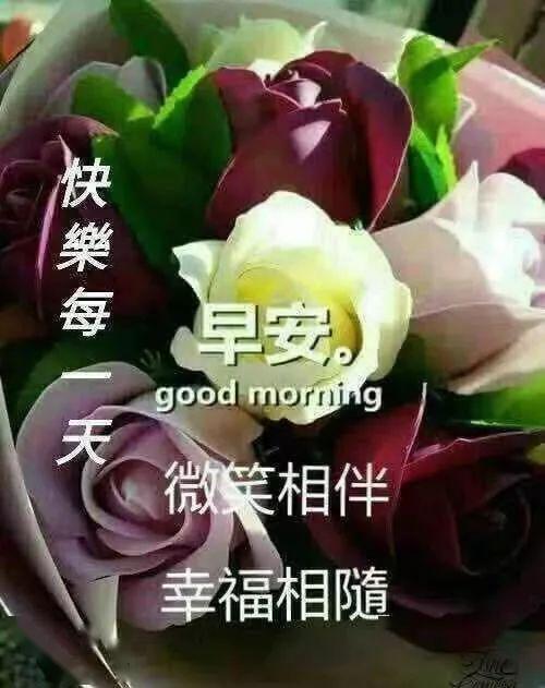5月最新版清晨问候大家早上好的漂亮图片,早上好问候动态祝福图片