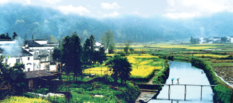 哪儿还能比家好?