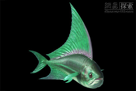 海洋中的12种史前怪兽