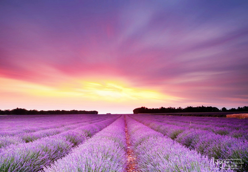 【海外月活动】一起来过情人节↖(^ω^)↗【活动结束】