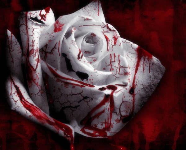 。`˙ .♥… … free loop -- daniel powter 【茚記推荐】