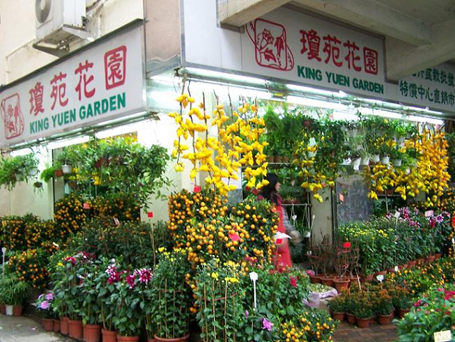 BEYOND..怀念家驹.(看望家驹..转)