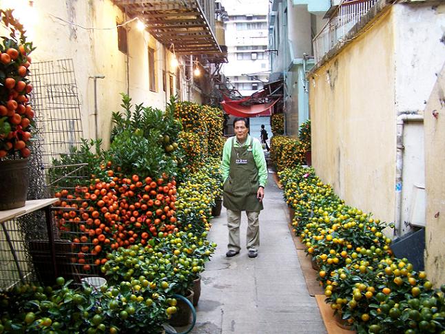 BEYOND..怀念家驹.(看望家驹..转)