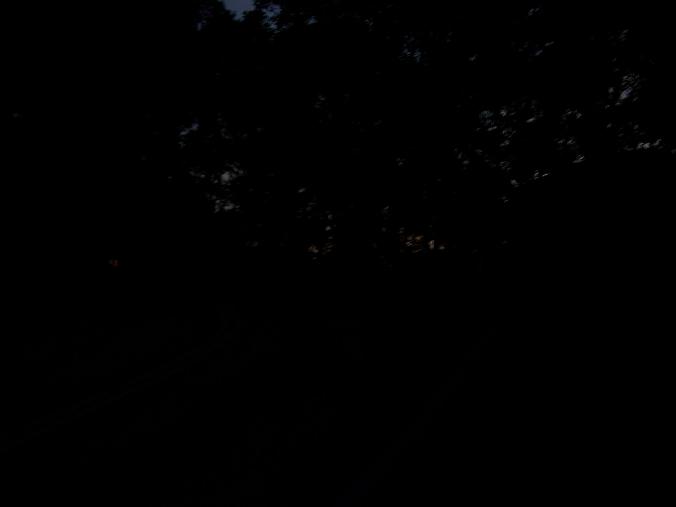 BEYOND..怀念家驹.(看望家驹..转)