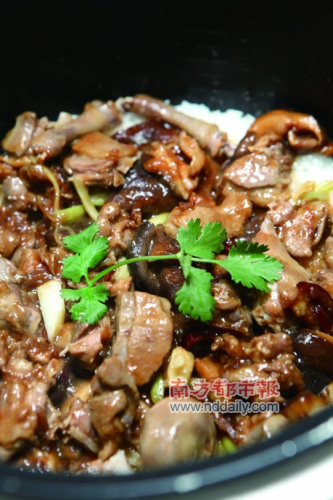 12天 采摘乳鸽的妙龄年华