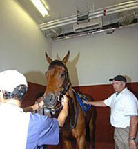 香港马会:香港最大、最昂贵、最顶级的私人会所