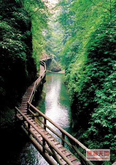 夏日 走进四川山林25摄氏度天然空调