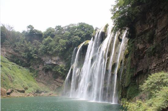 和外国帅哥的yellow fruit tree之旅,不要太羡慕哦~