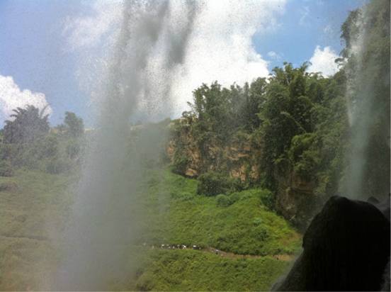 和外国帅哥的yellow fruit tree之旅,不要太羡慕哦~