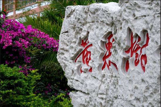 和外国帅哥的yellow fruit tree之旅,不要太羡慕哦~