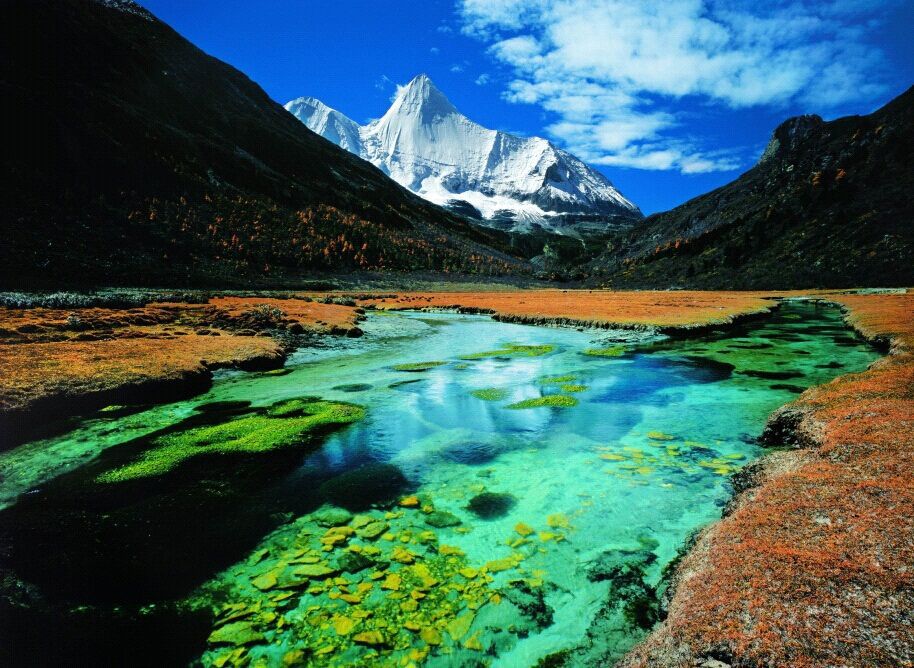 寻宝亚丁——亚丁新玩法,首届虫草文化体验活动即将启动