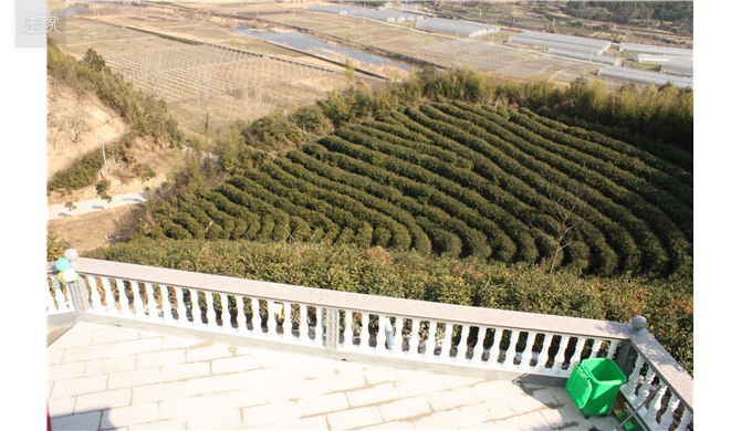 完美出行住宿体验,尽在途家