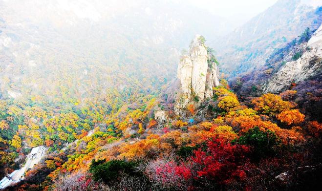 中国最美红叶哪里寻?