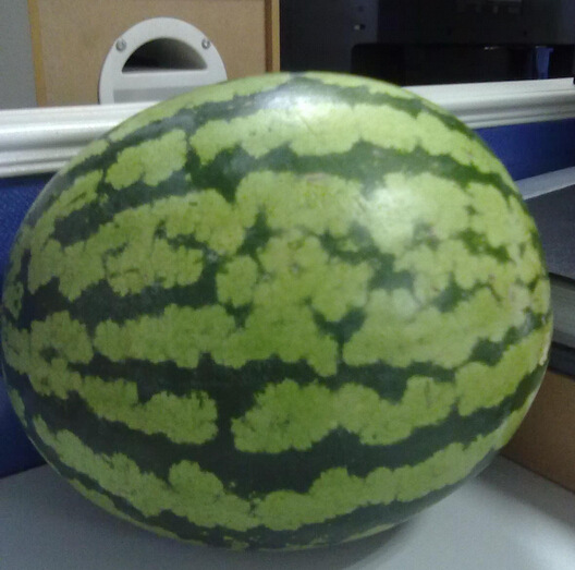 夏季消暑被备品!别说你没有!