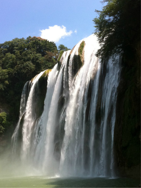 和外国帅哥的yellow fruit tree之旅,不要太羡慕哦~