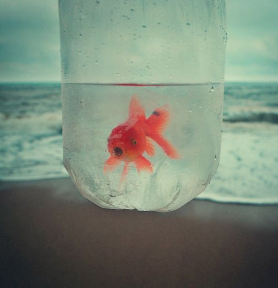 女人一生的25件奢侈品