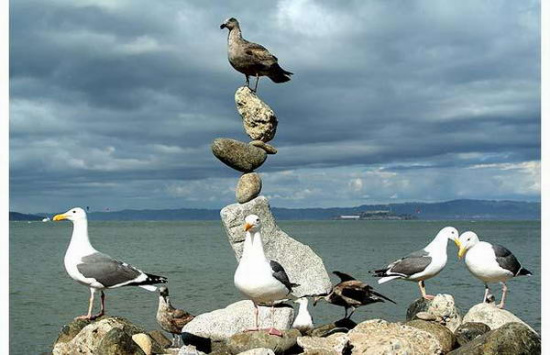 这家伙玩平衡玩得炉火纯青了