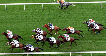 香港马会:香港最大、最昂贵、最顶级的私人会所