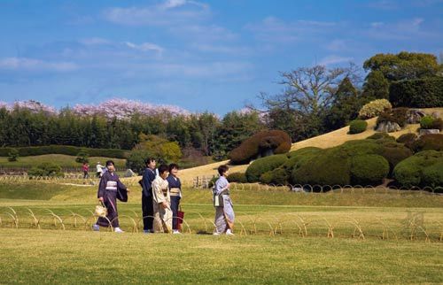 震前日本各地美景 东京飘落樱花泪
