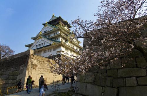 震前日本各地美景 东京飘落樱花泪