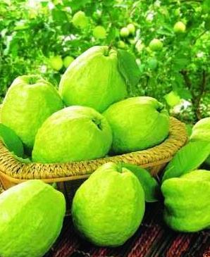 5种水果 夏天吃润肤效果好