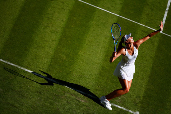 温网莎娃两盘完胜本土新秀 萨法洛娃逆转过关