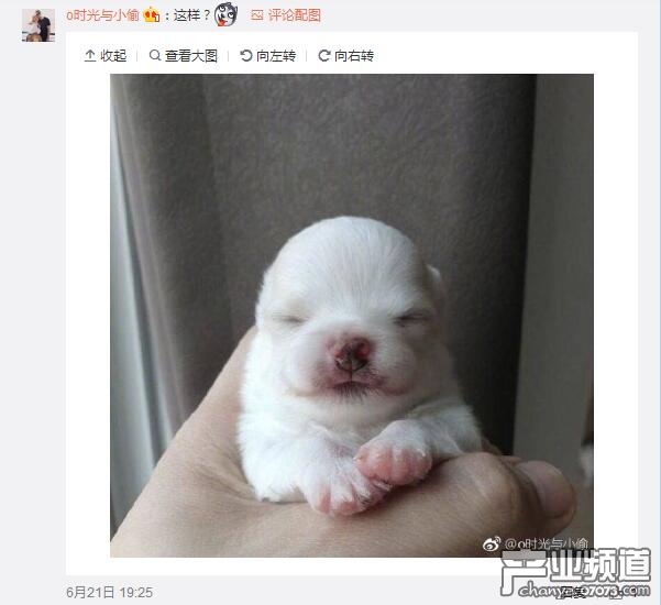 发条乐点:LOL若风要换发型 看评论笑喷了!