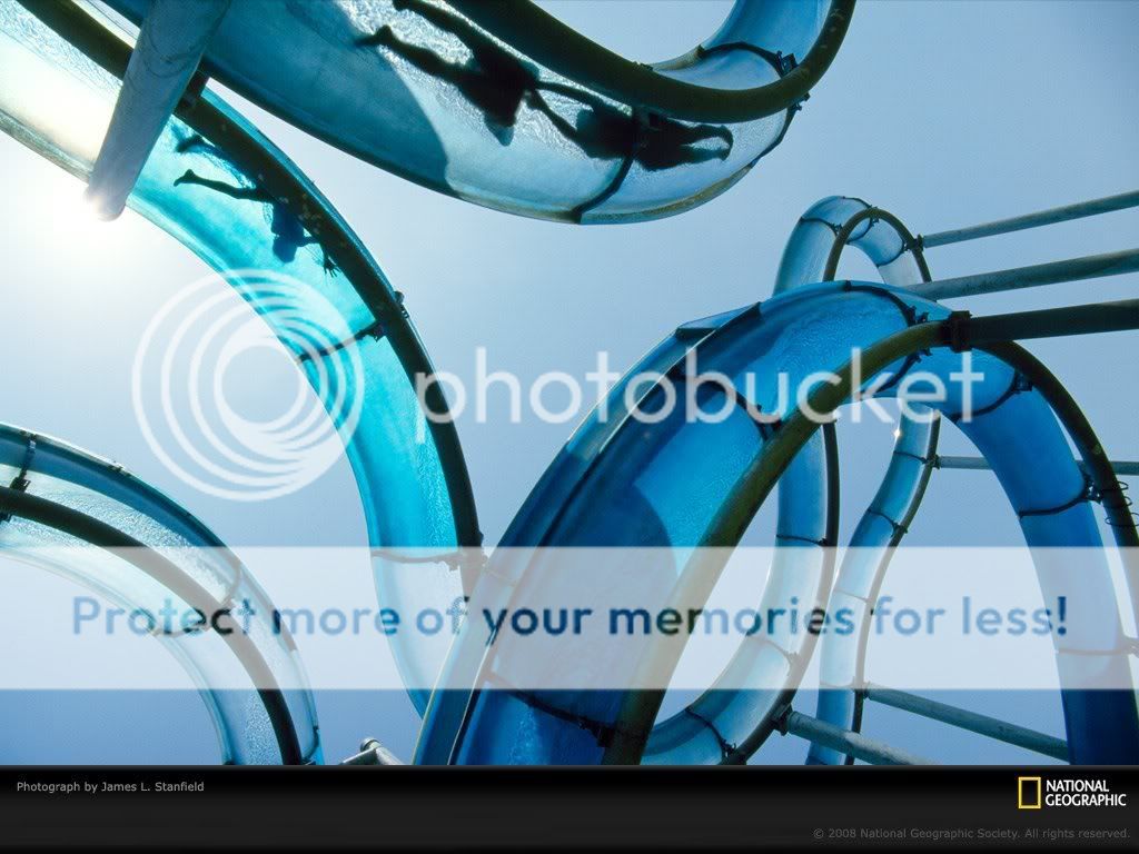 国家地理色彩:Life in Color