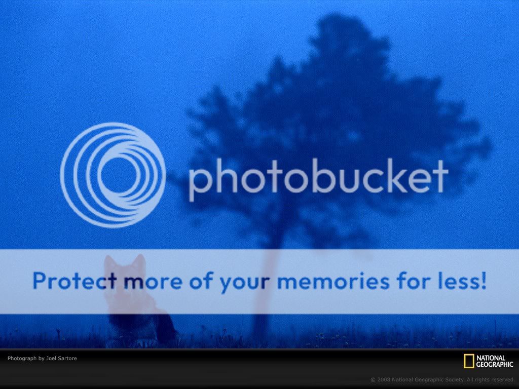 国家地理色彩:Life in Color