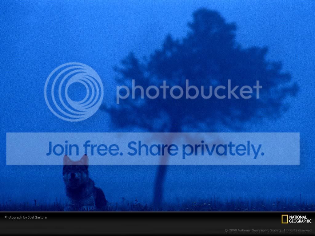 国家地理色彩:Life in Color