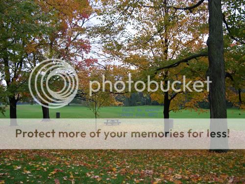 你看你看,世界的脸。<夏威夷,加拿大以及俺的故乡>