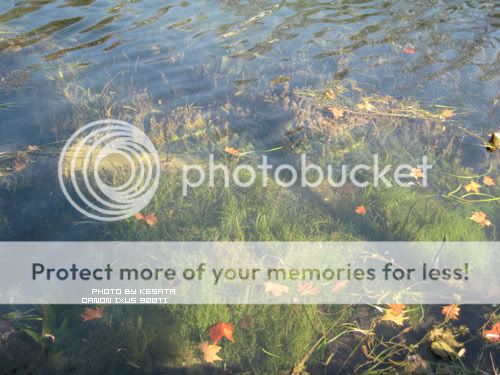 你看你看,世界的脸。<夏威夷,加拿大以及俺的故乡>