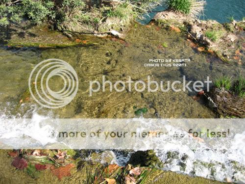 你看你看,世界的脸。<夏威夷,加拿大以及俺的故乡>