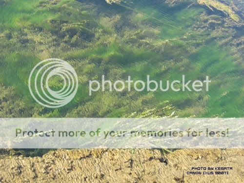 你看你看,世界的脸。<夏威夷,加拿大以及俺的故乡>