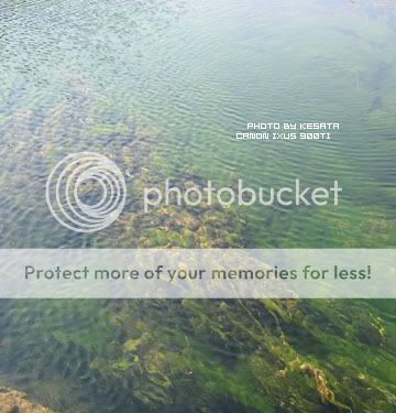 你看你看,世界的脸。<夏威夷,加拿大以及俺的故乡>