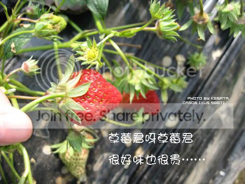 你看你看,世界的脸。<夏威夷,加拿大以及俺的故乡>
