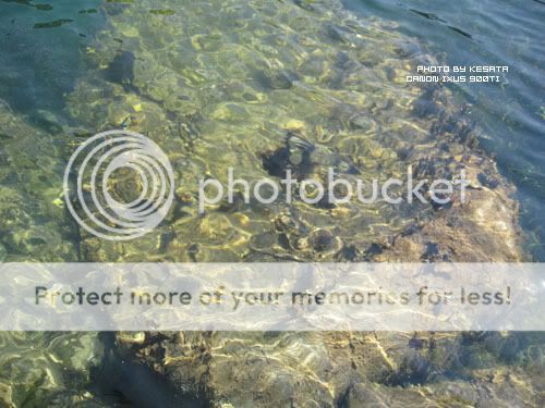 你看你看,世界的脸。<夏威夷,加拿大以及俺的故乡>