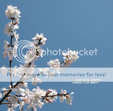 你看你看,世界的脸。<夏威夷,加拿大以及俺的故乡>