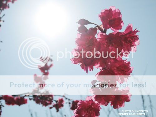 你看你看,世界的脸。<夏威夷,加拿大以及俺的故乡>