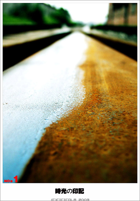 唯美 时 光 の 印 记 转