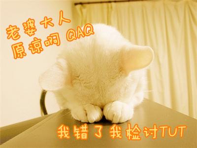 每日游戏一刻(67):萌妹纸的心呀~你不懂