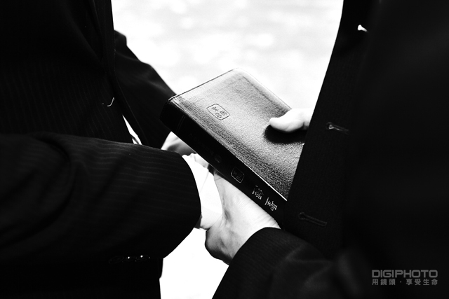 拍好局部特写的10大技巧【转载】