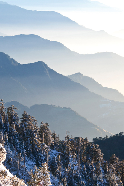 拍好局部特写的10大技巧【转载】