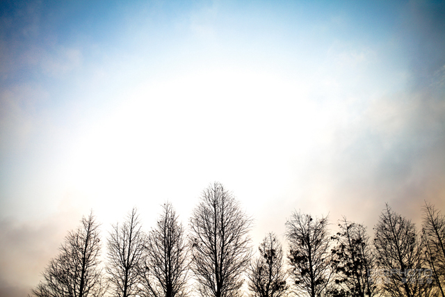 拍好局部特写的10大技巧【转载】