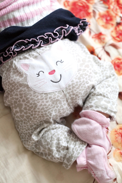 拍好局部特写的10大技巧【转载】